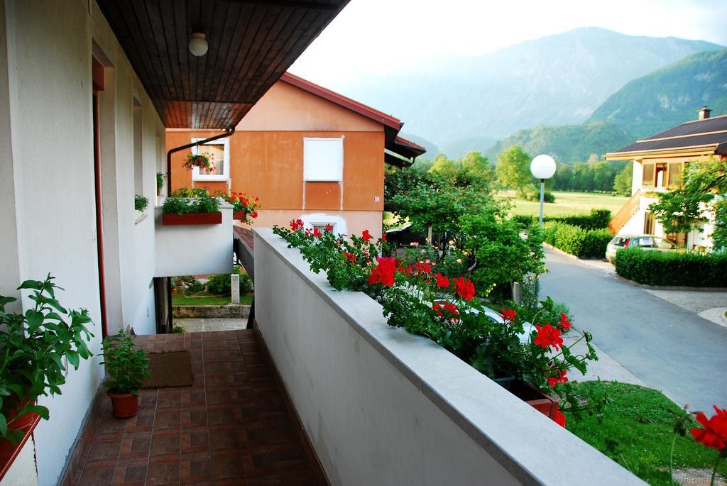Budget Homestay Kobarid Room photo